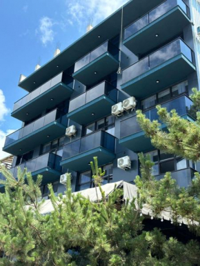 Hotel black sea